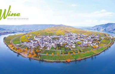 Holiday Home Weingut Mertes - Foto 9