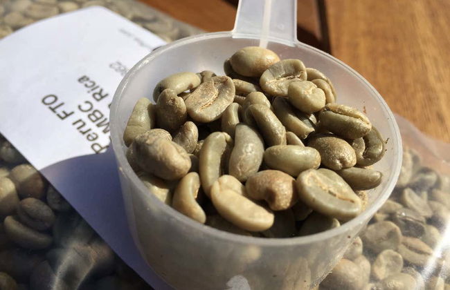 Excursión a Villa Rica y laguna El Oconal - Foto 1