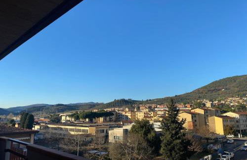 APPARTAMENTO BLU - Relax and Comfort 20 minutes from Florence - Foto 11