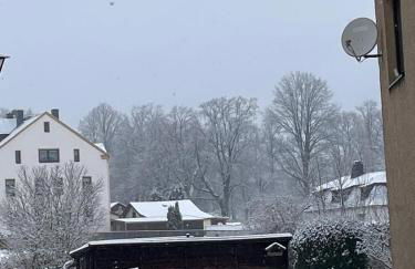 Ferienwohnungen Goldhahn - Foto 31