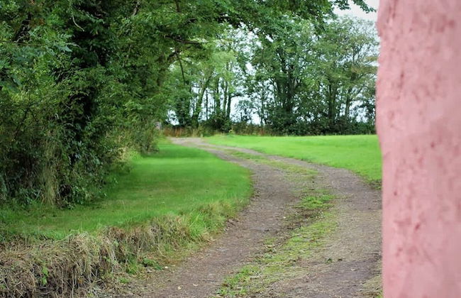 Secluded Cottage With hot tub - Foto 20