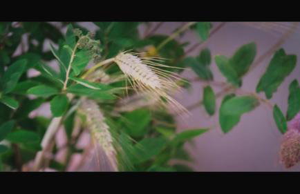 Chata na końcu świata - Foto 37