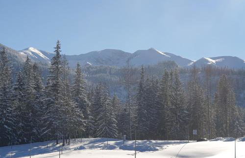 Apartament TatraVika - Photo 51