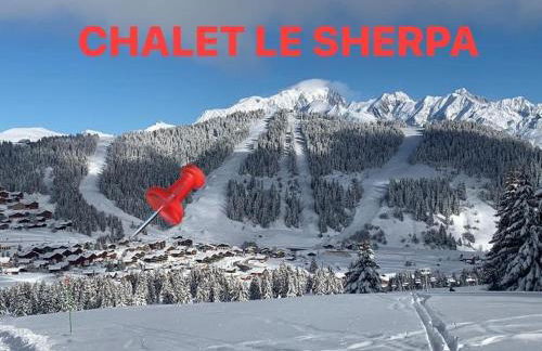 APPARTEMENT VUE SUR LES PISTES Aux SAISIES 4 - Foto 13