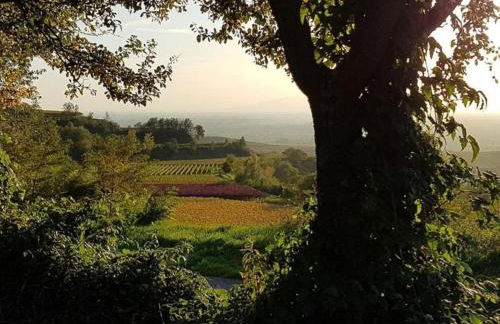 Ferienwohnung in Bischoffingen - Foto 70