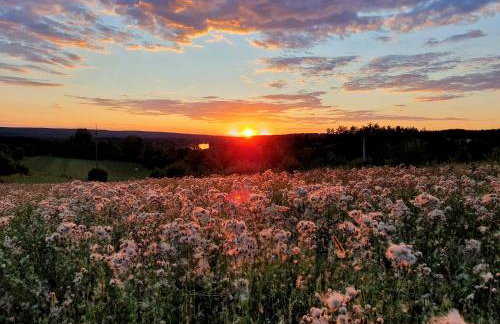 Królewska Sielanka - Foto 6