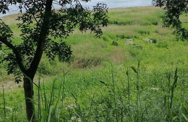 Saint florent le vieil, chez Stéph et Flo - Photo 9