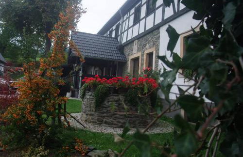 Agroturystyka Łysa Góra - Foto 4