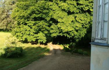 Château dans le calme de l'Anjou - Foto 37