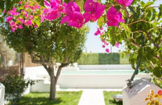 Casa do Sossego - Foto 1