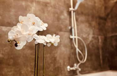 Apartments am Exerzierplatz Pirmasens - Foto 17