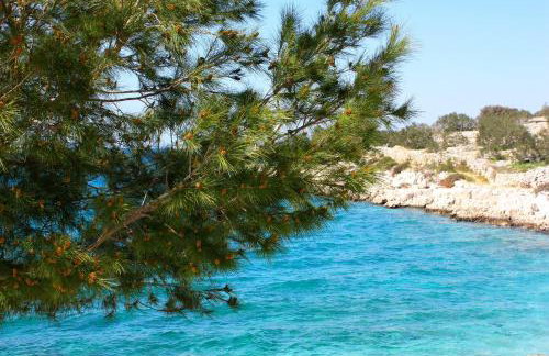 Buntin Apartments - Photo 15