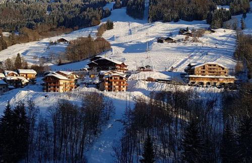 Chalets des Evettes- appartement vue montagne - Foto 8
