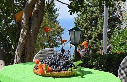 Apartment Ivana Borak - Foto 22