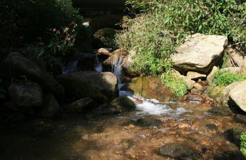 Haus am Waldrand - Foto 12