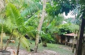 Chácara Bela Vista - Photo 32