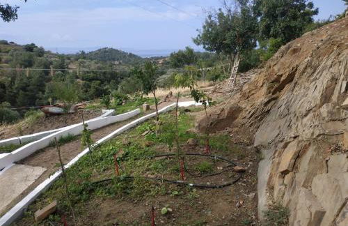 Villa Kotetsi - Rooms To Let - Volissos - Chios - Foto 14