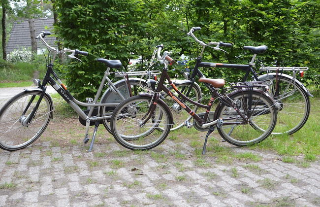 Romantic Forest Retreat With Sauna - Photo 23