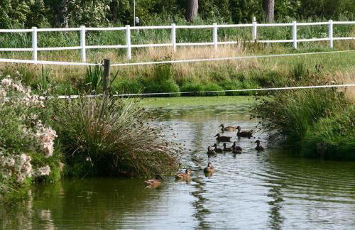 Ferienhof Peter - Foto 31