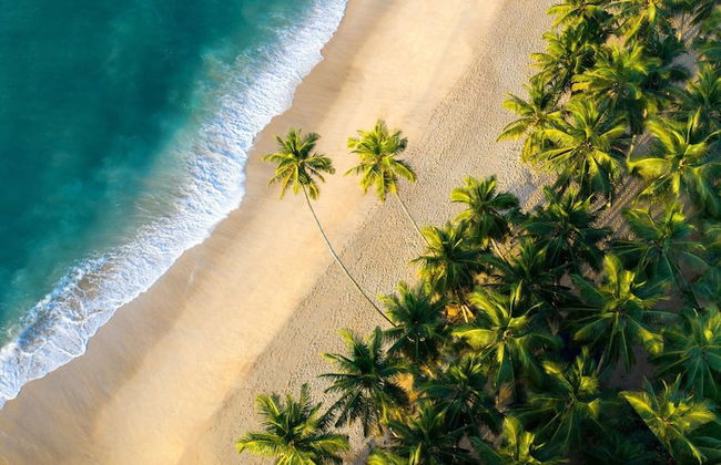 maya tangalle - Foto 45