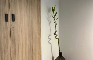 Elements Studios - Photo 6