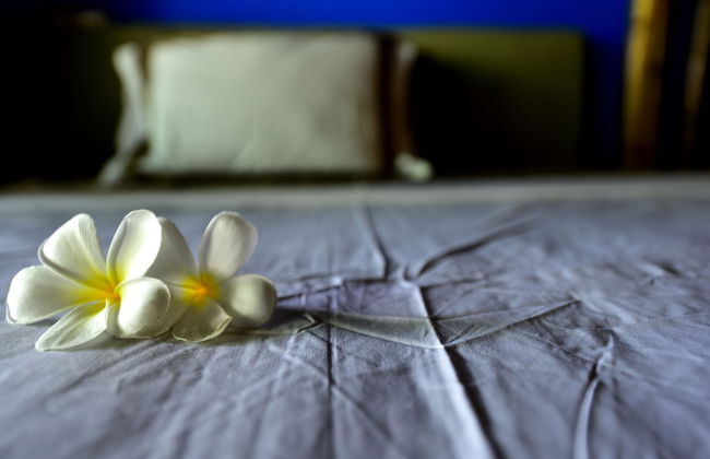 Villa Cantika Resort - Foto 15