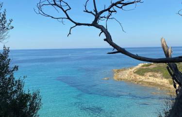 Nidu Accogliente in Balagna - Foto 48