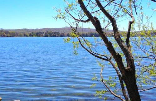 Peaceful Private Cabin on Crystal Lake near Elk Mountain, Pennsylvania - Foto 21