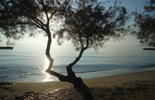 Kois Studios - Foto 67