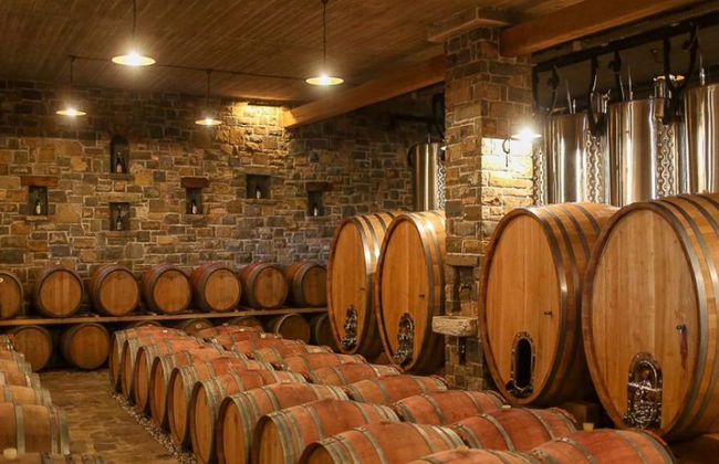 Tour privé d'une journée dans la région viticole de l'Istrie slovène au départ de Portorož/Piran - Photo 3