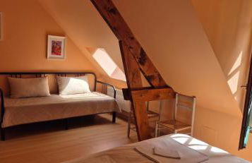 Domaine des Aulnaies - Beauval - Mareuil sur Cher - Foto 50