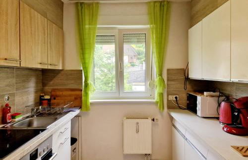 Holiday Apartment near Triberg Waterfall - Foto 17