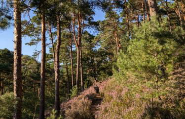 Charlottes Waldresidenz - Foto 20