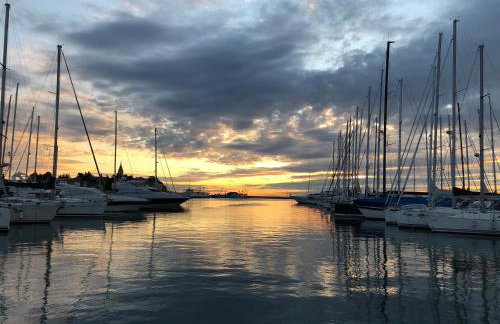 App Sorgo - Photo 59