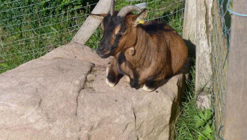 Kienbronnerhof - Foto 5