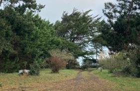 Villa Cancale, vue mer, 15 pers, plage à 200m - Foto 22