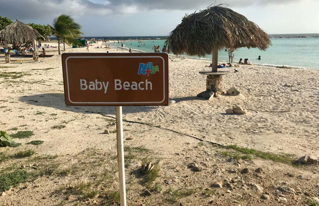 South Aruba Guided Tour - Foto 5