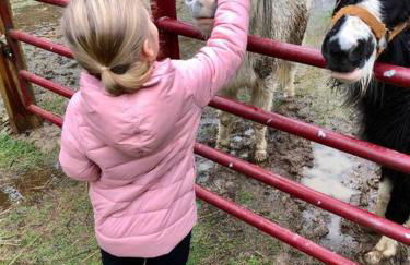 Fairytale: Hot Tub & Trout Stream & Petting Zoo? - Foto 35