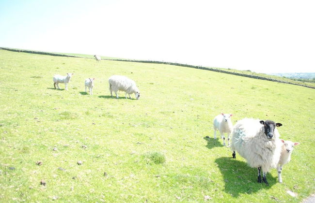 Brambles Farm Peak District Lodge - Foto 38