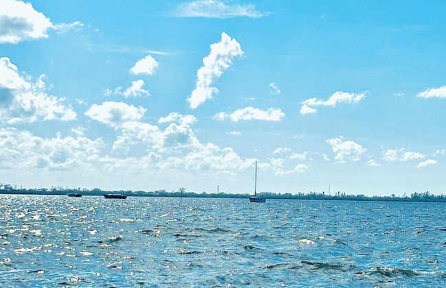 SailorAntics - Foto 24