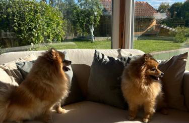 Kuća Šuma - Foto 15