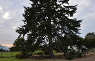 La Grange de la Gandonnerie - Photo 19