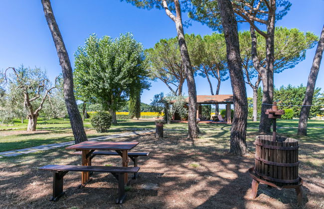 Rossogiallo - Foto 42