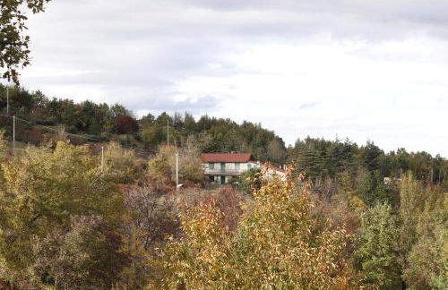 Lupus Domum - Foto 2