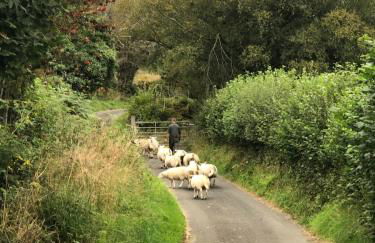 Detached cottage in the hills near Dolgellau - Foto 70