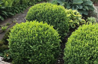 Ferienwohnung Design & Natur - Foto 20