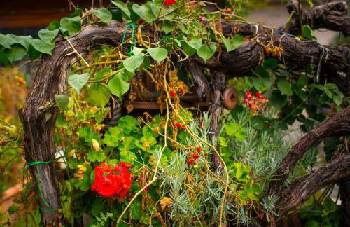 Agriturismo Mare e Monti - Foto 148