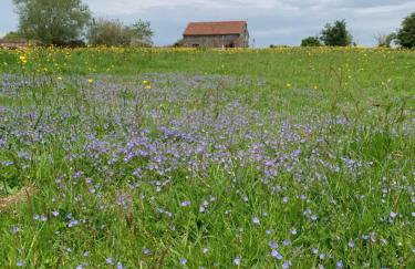 Edge Barn - Photo 35