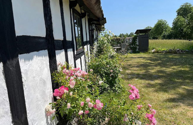 6 Person Holiday Home in Degeberga - Foto 33