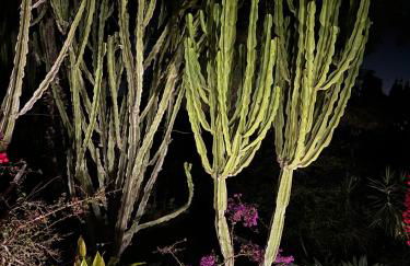 Apartment in Jesús - Photo 1